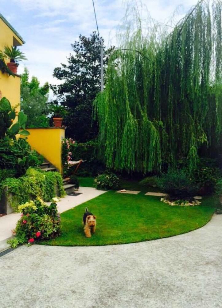 Le Pinette Panzió Ameglia Kültér fotó